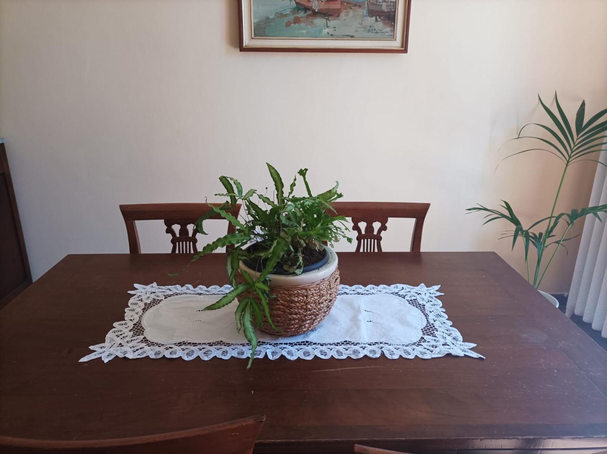 Castello  Bed And Breakfast Da Pio المظهر الخارجي الصورة