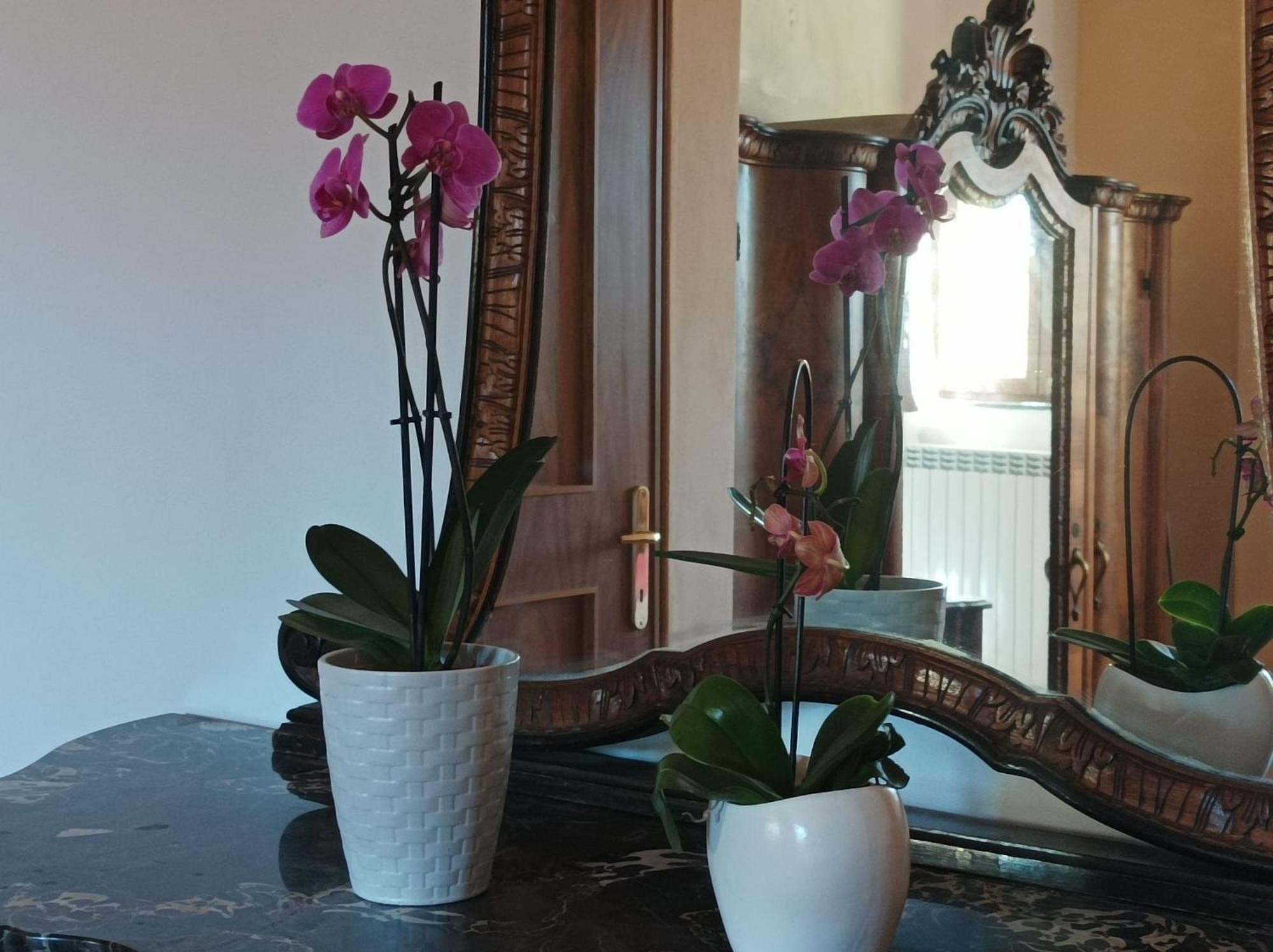 Castello  Bed And Breakfast Da Pio المظهر الخارجي الصورة