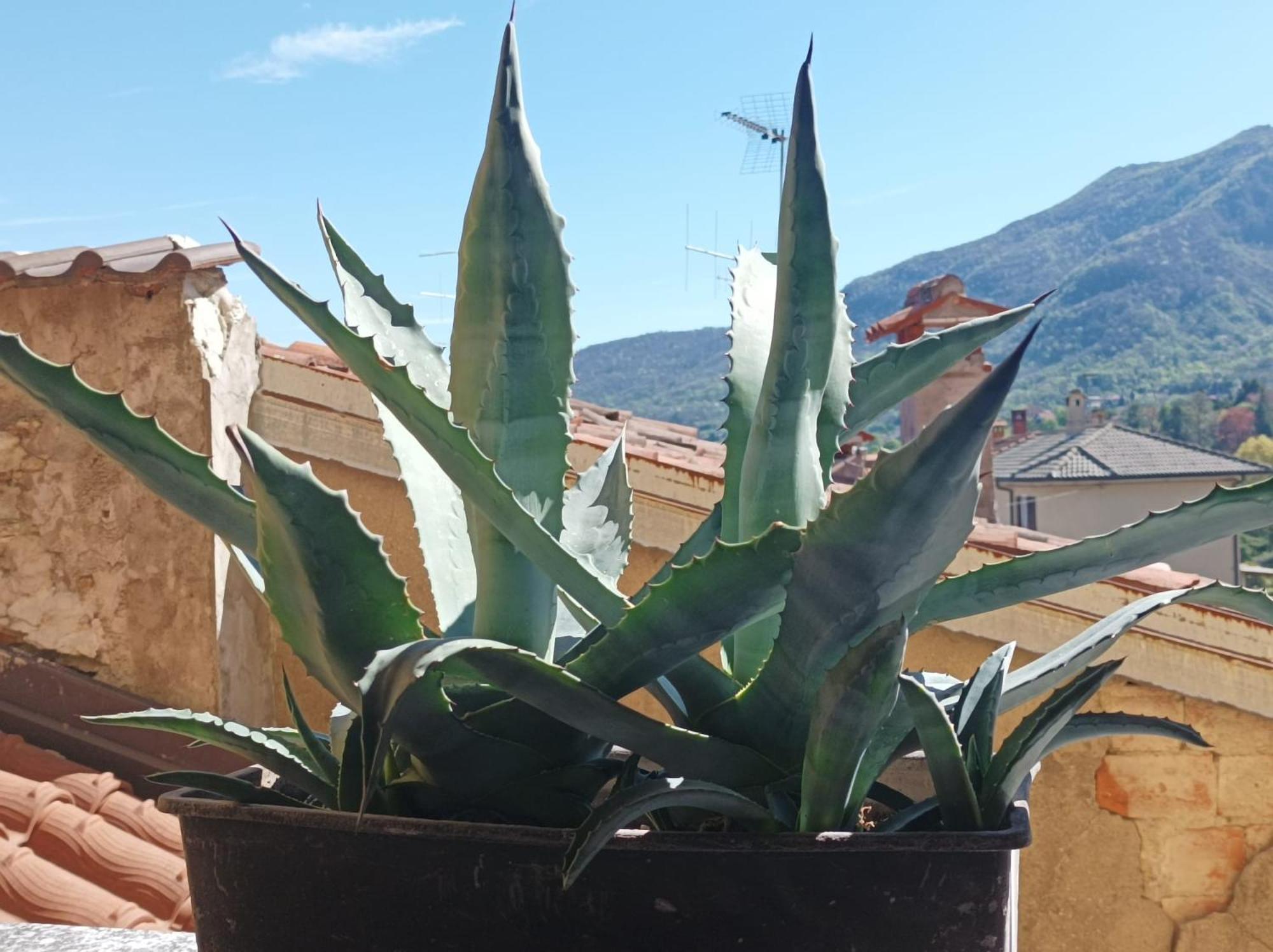 Castello  Bed And Breakfast Da Pio المظهر الخارجي الصورة